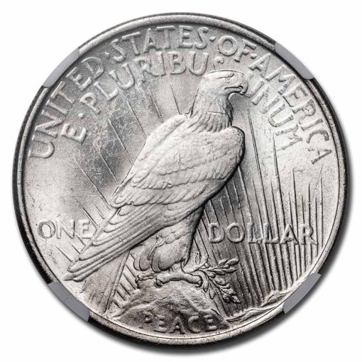 1923年 アメリカ ステージコーチ ピースドル 90% 銀 未流通 銀貨 NGC - 画像 (3)