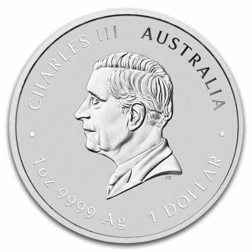 2025年 (新品) オーストラリア「 干支 十二支・巳年 蛇年」純銀 1オンス カラー 銀貨 PCGS MS70 (ファーストストライク) - 画像 (3)