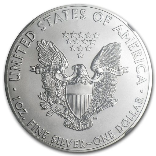 2013 (New) American Eagle Walking Liberty Silver 1 oz Coin NGC MS70 (Random Label) - Image 3