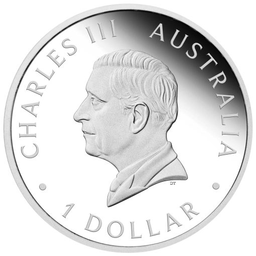 2025 (New) Australian Swan Perth Money Expo ANDA Special Silver 1 oz Proof Coin - Image 3